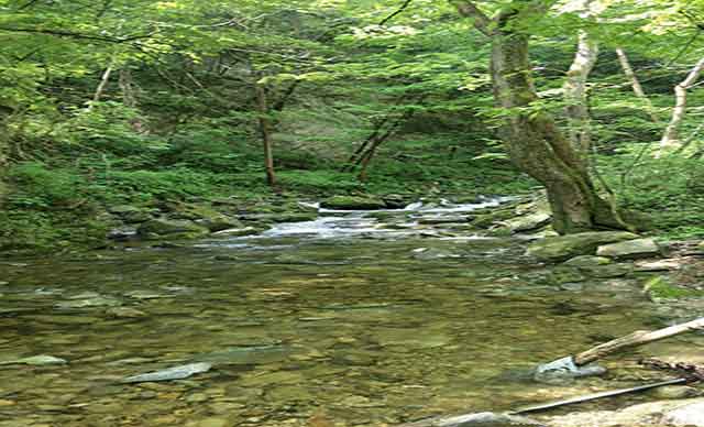 西安市·鄠邑区·太平峪西寺沟山野营地